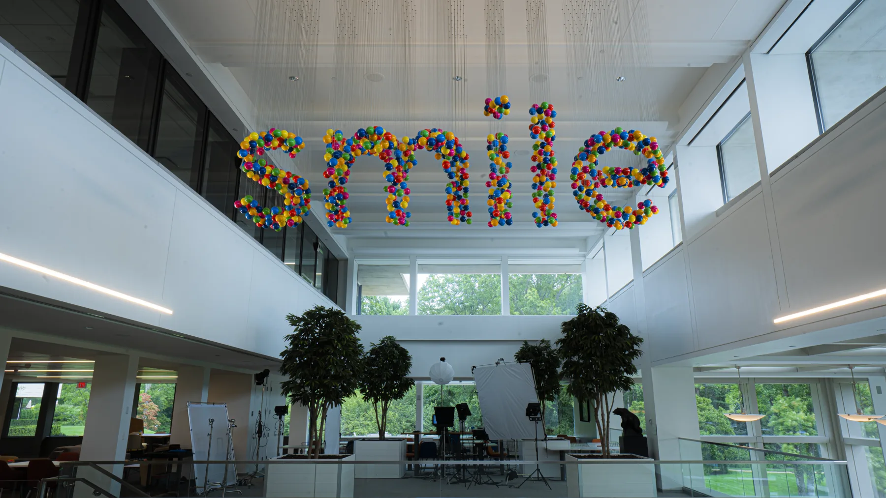 Pepsico Smiles — perceptual sculpture by Michael Murphy